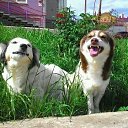 ���� �����, ������, 47 ��� - ��������� 3 ������� 2017 � ������ ���� ����������