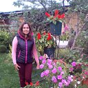 ���� �����, ������, 48 ��� - ��������� 31 ������� 2017 � ������ ����� - ����� 2017�