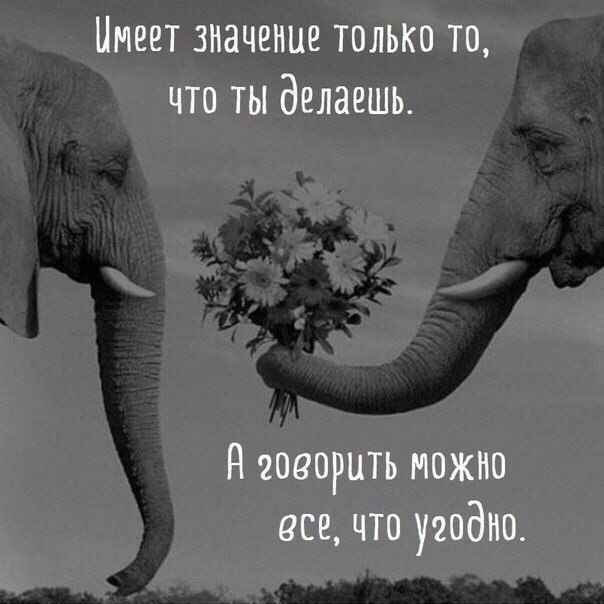   - 16  2017  03:32