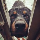 ���� �����, ������, 36 ��� - ��������� 3 ���� 2017 � ������ ���� ����������