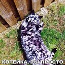 ���� ����, �����������, 22 ���� - ��������� 5 ���� 2017