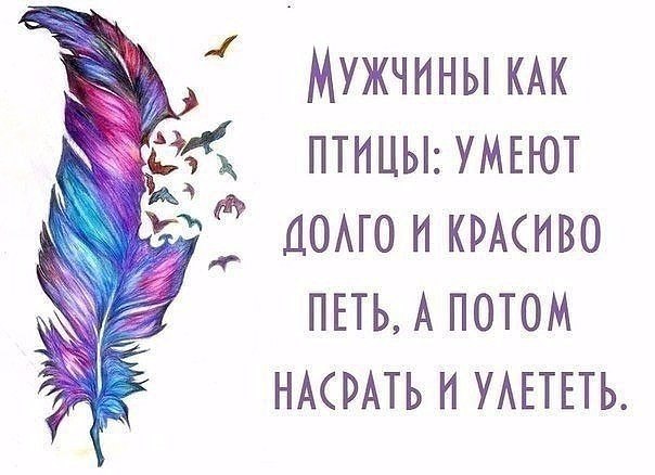    - 26  2017  07:52