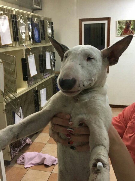  !     ? https://vk.com/wall-138557_297561  -    ... - 3