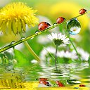  Natali, , 53  -  4  2017    