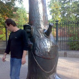 ���� �������, �����-���������, 49 ��� - ��������� 4 ���� 2017