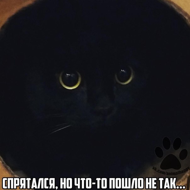    - 22  2017  13:12