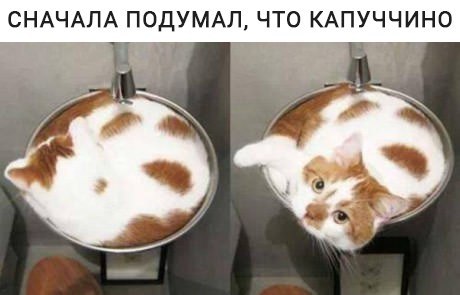 ��� �������� �������� - 4 ������ 2017 � 04:12