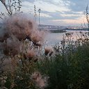 ���� Maks, ����, 51 ��� - ��������� 28 ���� 2017 � ������ ���� ����������