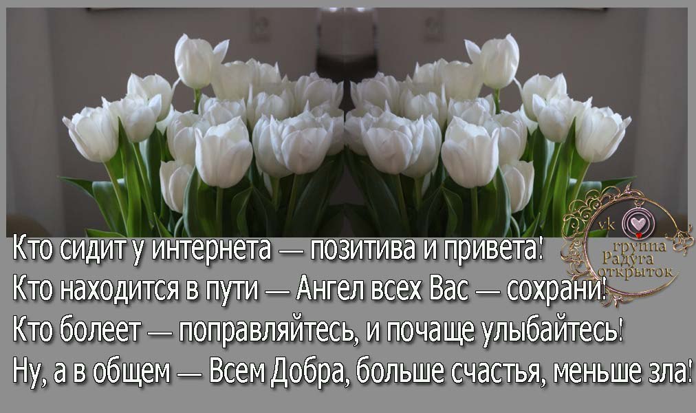 - 13  2017  12:01