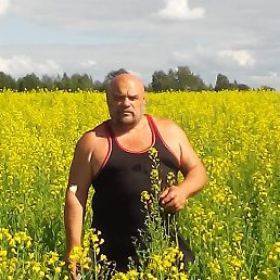 , 63,  