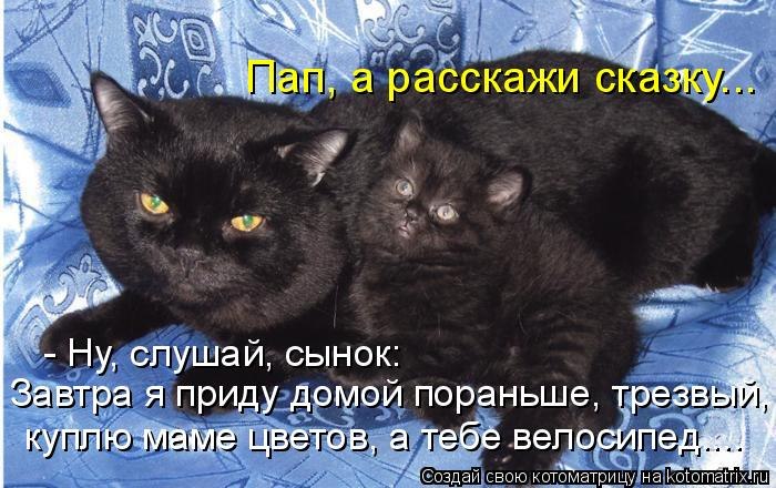   - 11  2017  17:14