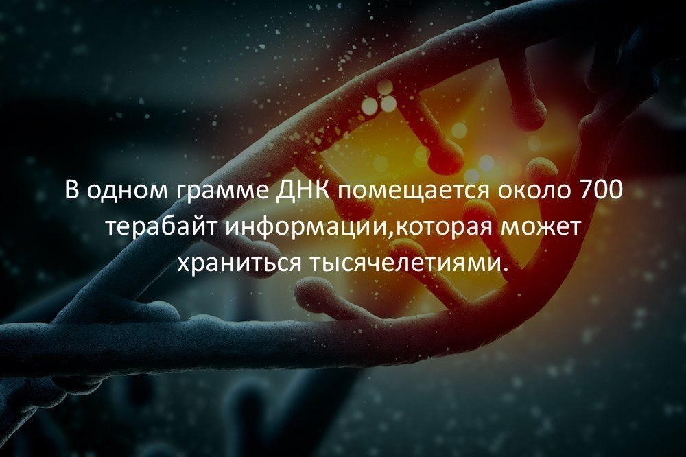   :    - 6  2017  19:09