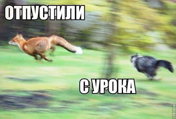    :D - 9  2017  08:37