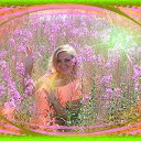  Rodnaia,  -  24  2017    