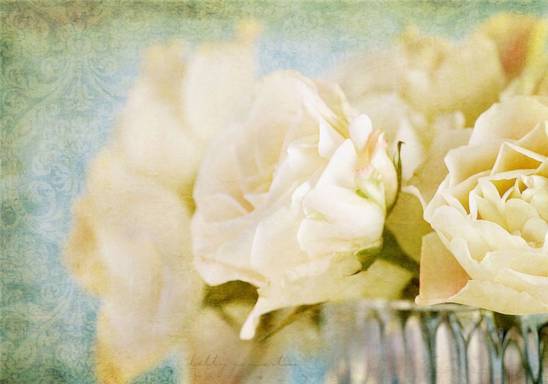 ))).https://fotostrana.ru/away?to=/sl/wCD2 life and Flowers by Betty Jo Martin. - 2