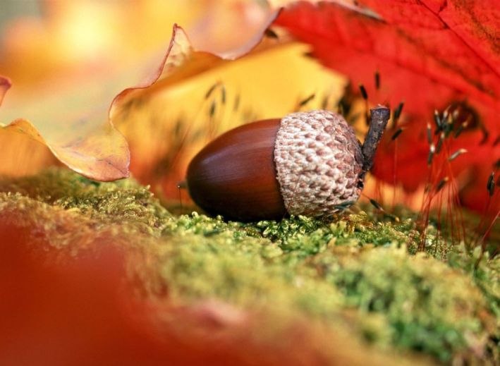 ��� - 24 ������� 2017 � 15:47