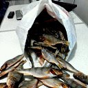 ���� ���������, ��������, 64 ���� - ��������� 6 ���� 2017 � ������ ��� ��� �� ����� � �� ��� ��������....�