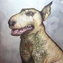 ���� �����, ���������, 37 ��� - ��������� 31 ��� 2017 � ������ ���� ����������