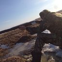  Vladimir, , 36  -  10  2017    