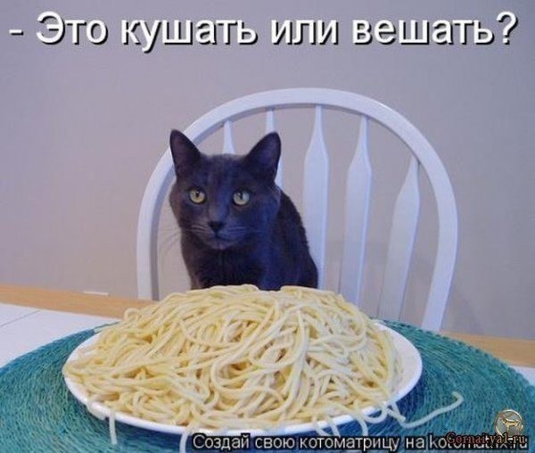    -    ...   - ,     : - ... - 2