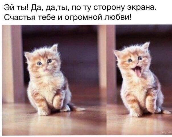    :D - 18  2017  08:31