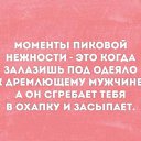 ���� �����, ���������, 53 ���� - ��������� 3 ������ 2017 � ������ ���� ����������