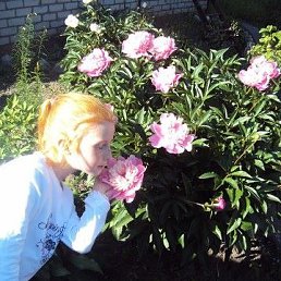 �����, ��������, 26 ���