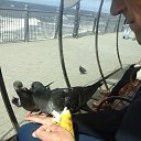 ���� Alehandro, ����������, 53 ���� - ��������� 29 ������� 2017 � ������ ������ ��������