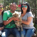 ���� �������, �����������, 53 ���� - ��������� 1 ��� 2017 � ������ ������ ��������