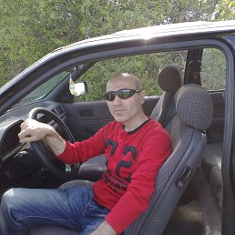 Temo, �������, 48 ���