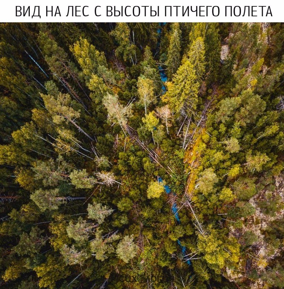  - 19  2017  10:14