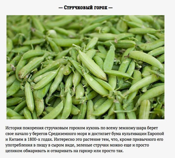 6 главных овощей этой весны.Существует масса причин того, почему весна намного лучше начала нового ... - 3