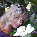 ���� �������, ����, 50 ��� - ��������� 14 ������� 2017 � ������ ���� ����������