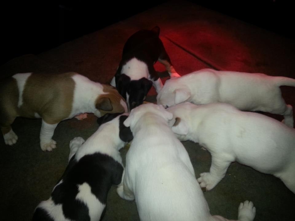 Добрый день всем жителям Буле-Городка ))).Для новых участников группы и для всех кто ищет полезную ...