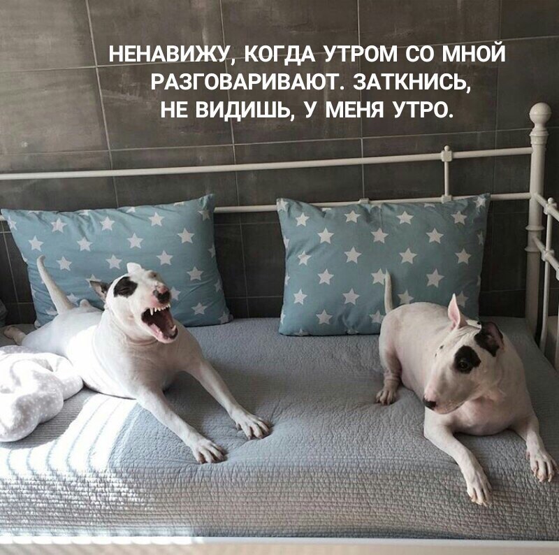 Доброе утро