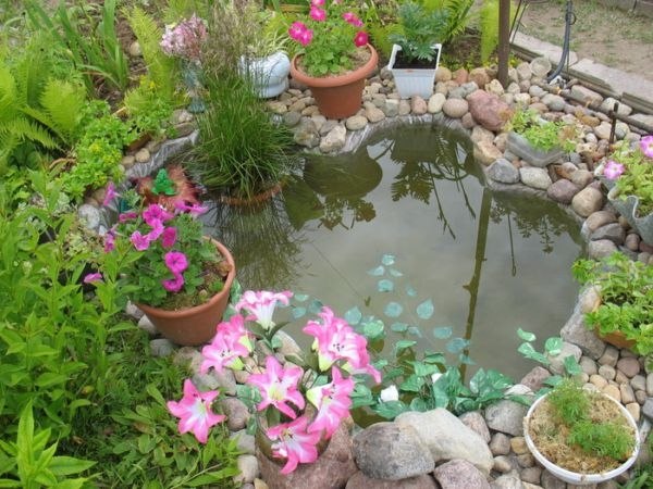 ������ � ���������: ��������� ������� ����.��� ����, ���� ������� ������ ���������, ��� ������ �� ...