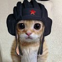 ���� �������, �����-���������, 55 ��� - ��������� 16 ���� 2017 � ������ ���������Ȼ