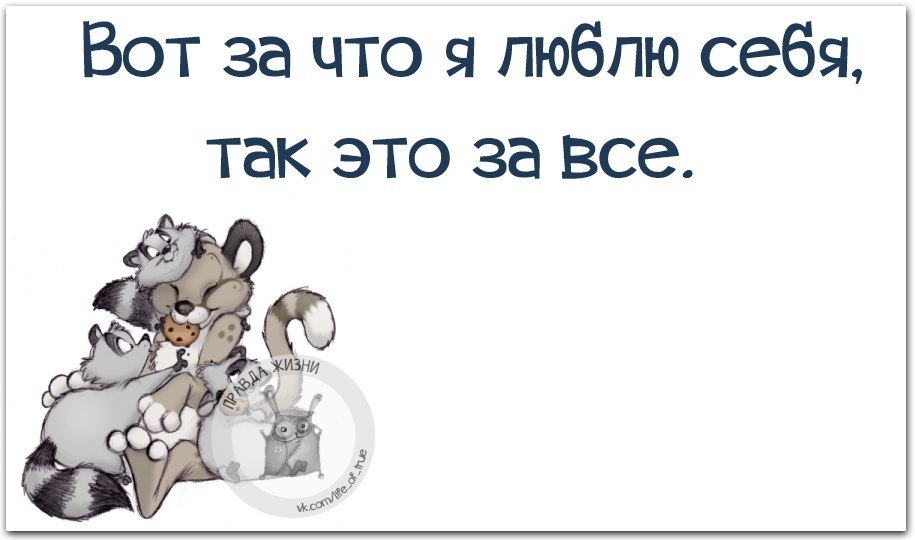   - 11  2017  21:53
