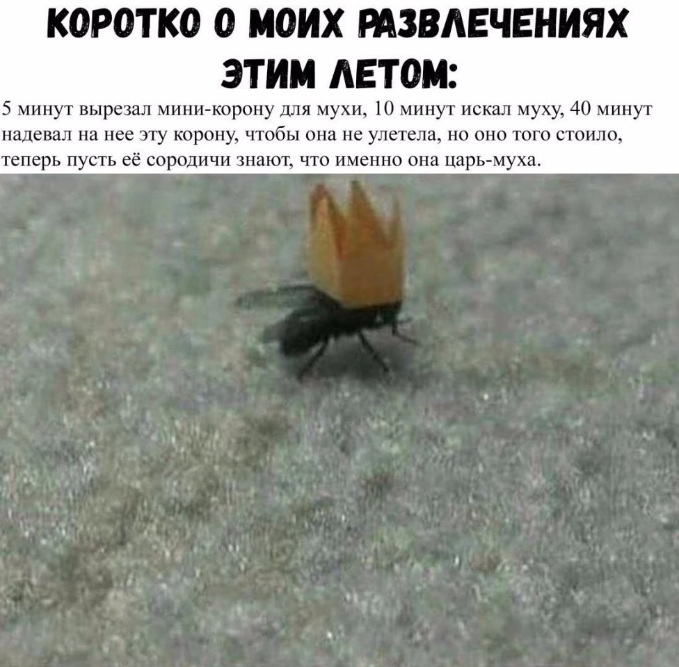   - 30  2017  21:15