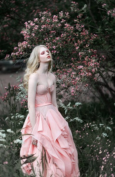 �������� :[id3883455|�������� ��������].������ :[id38075590|����� ���������] ��������-�������: ...