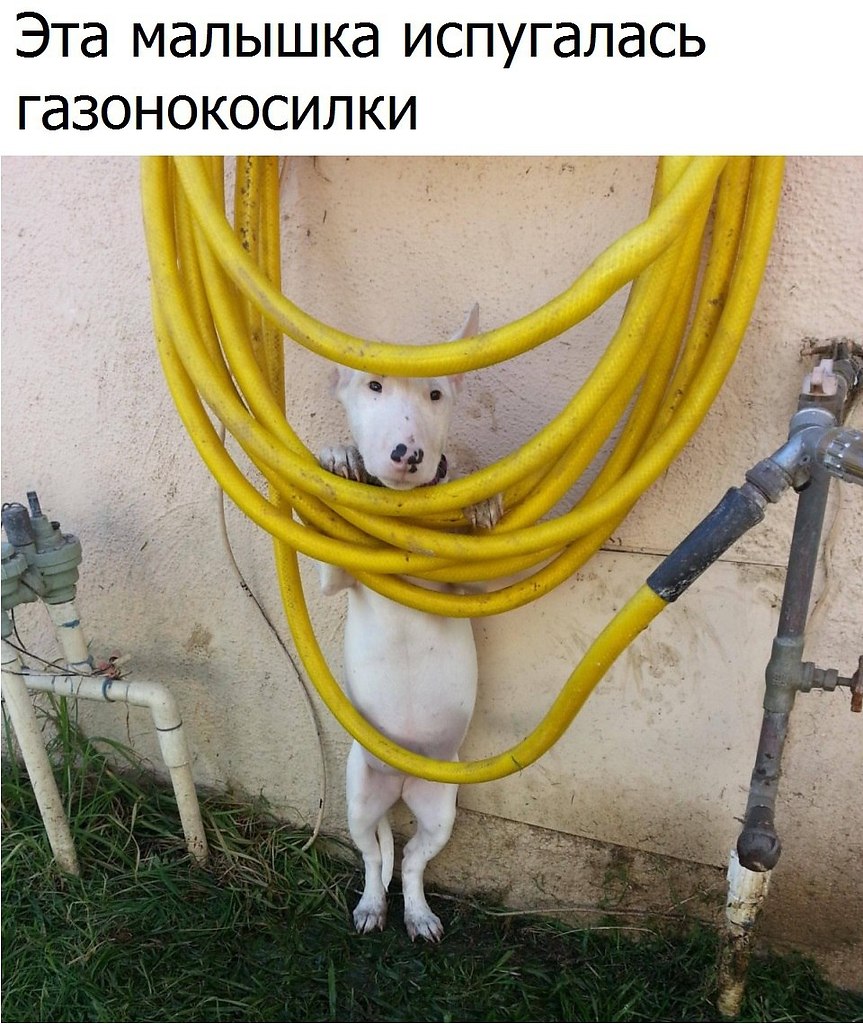   ? - 20  2017  17:41