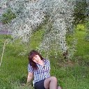  , , 40  -  26  2017   18.00.2017     ))