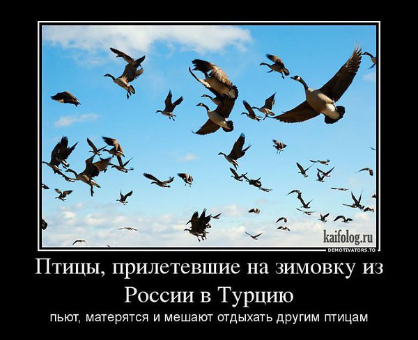      ,       ) - 44