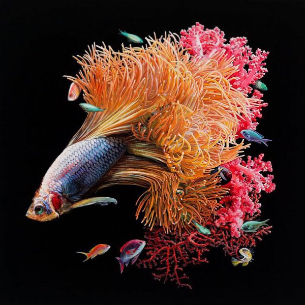   (Lisa Ericson)  ,   ,    ,  ... - 2
