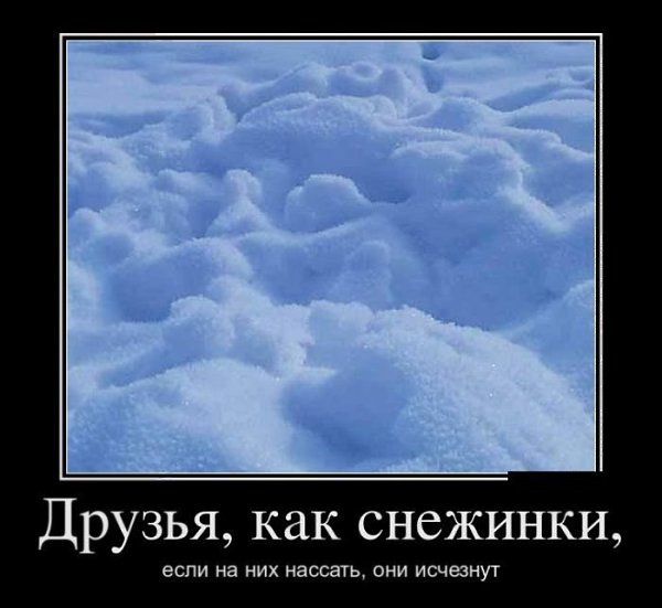 ����� ������������� - 20 ������� 2017 � 16:56