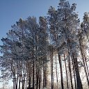 ���� �����, ����������, 43 ���� - ��������� 19 ��� 2018 � ������ ���� ����������