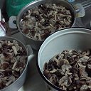 ���� ���������, ������-��-����, 60 ��� - ��������� 5 ������ 2018 � ������ ���� ����������