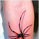 ���� �������, ������ �������� - ��������� 24 ������ 2017 � ������ ������ ��������