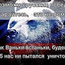 ���� Ը���, ������ ��������, 51 ��� - ��������� 20 ������ 2017