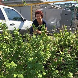 �������, ������, 66 ���